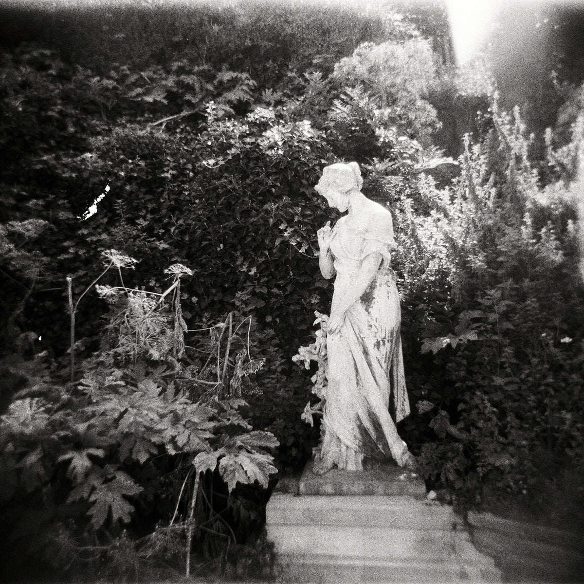 La Femme de Pierre